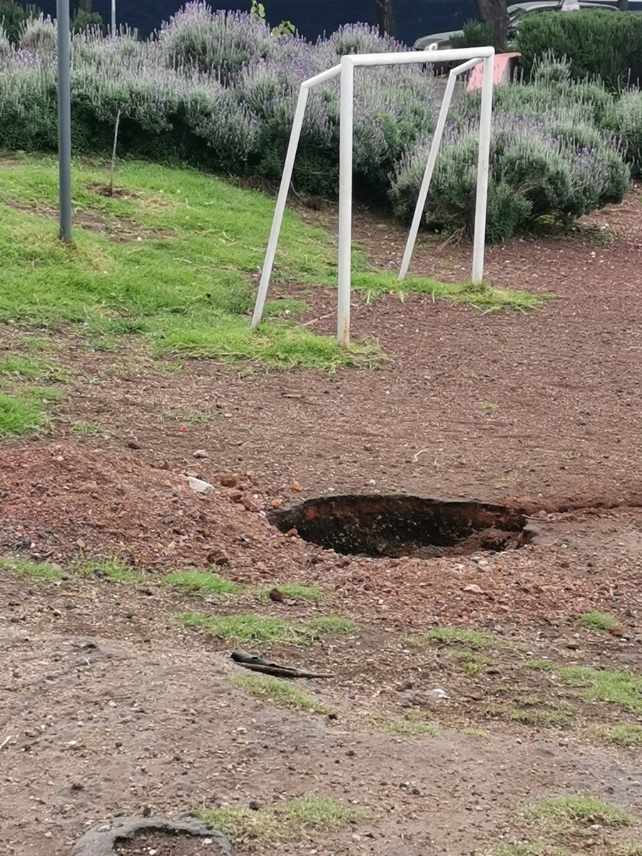 Alberto SH tweet media