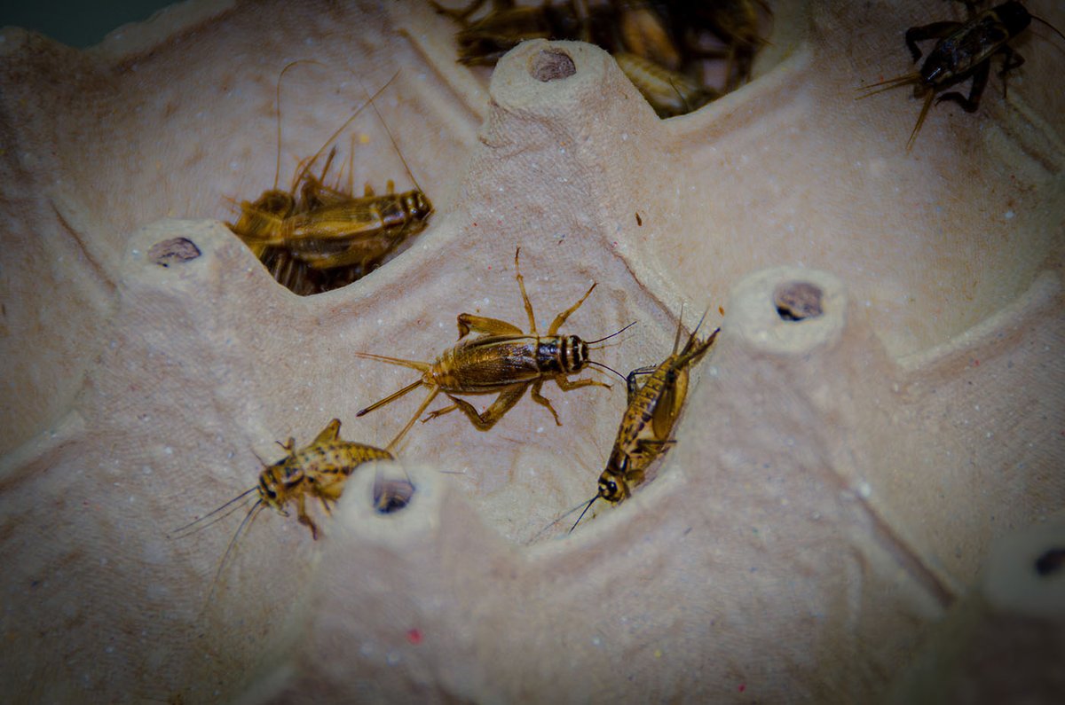 Prensa UNAL - Universidad Nacional de Colombia tweet media