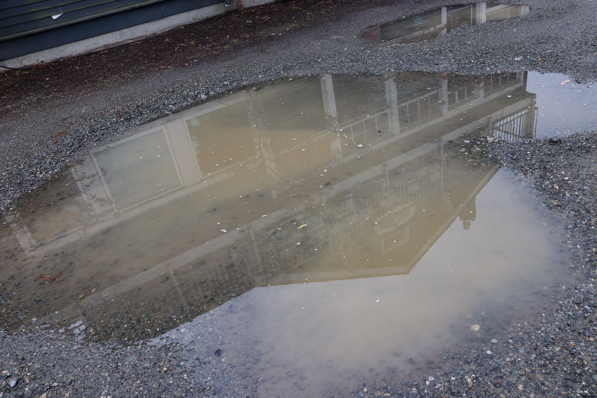 samhowzit's tweet image. It’s #TwinPeaks pilot weather today in Snoqualmie Valley, WA