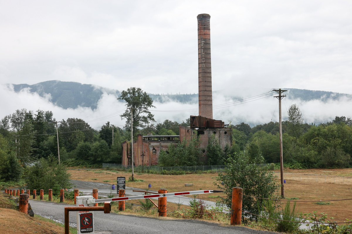 samhowzit's tweet image. It’s #TwinPeaks pilot weather today in Snoqualmie Valley, WA