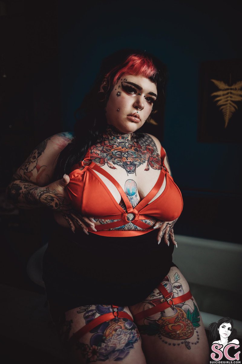 SGCurves tweet media