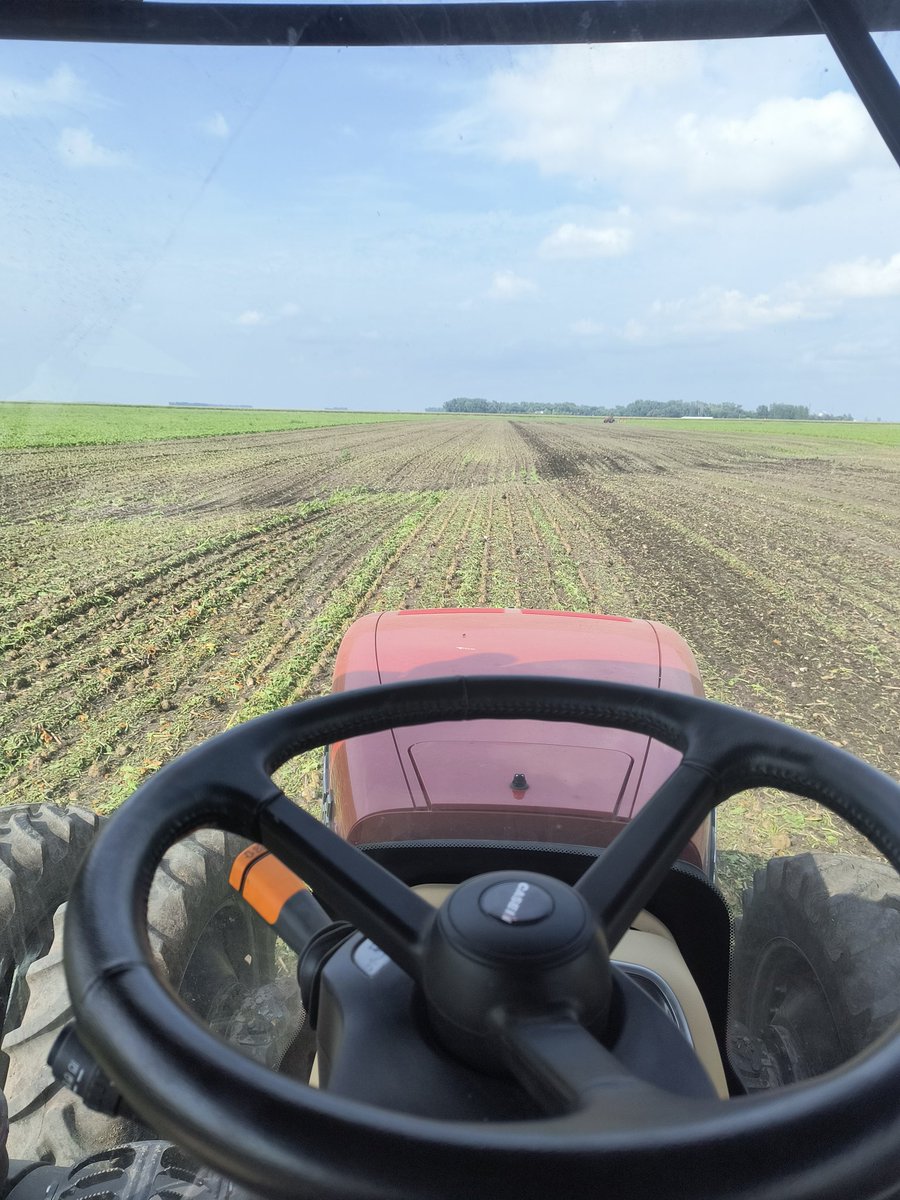 gvjfarms's tweet photo. Nothing more depressing than lifting poor, water logged beets. #PreLift #Sugarbeets https://t.co/jHXzwqkjYE