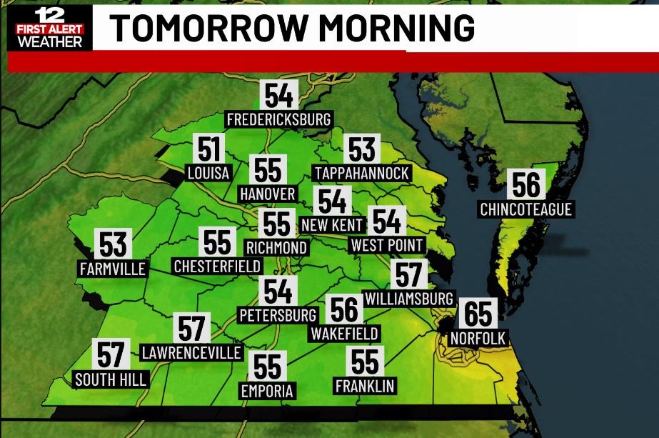 Megan Wise tweet media