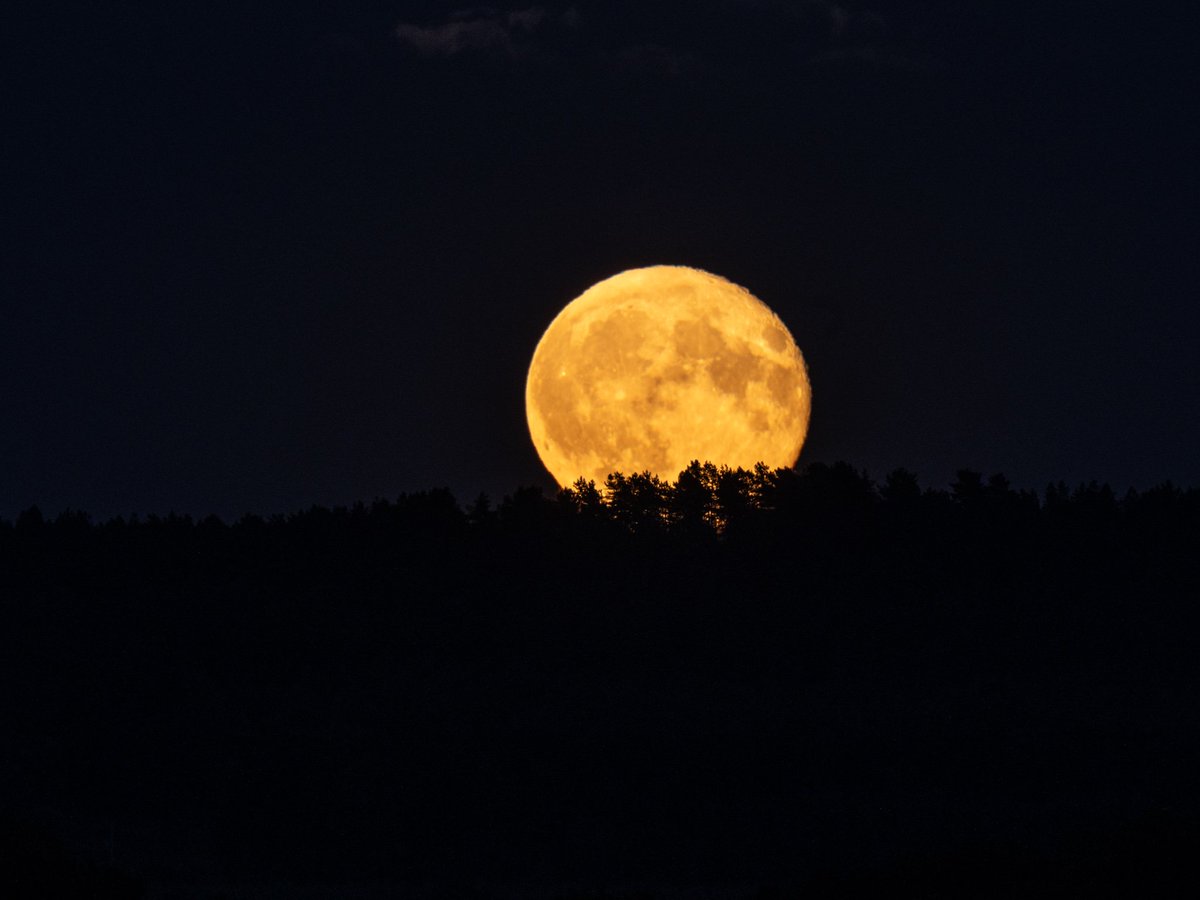Moonrise tonight near Penkridge in Staffordshire #Moon #Fullmoon #staffordshire #ThePhotoHour <a href="/StaffsSkies/">Staffordshire Skies</a> <a href="/ExpressandStar/">Express & Star</a> <a href="/StaffsNews/">Staffs Newsletter</a> <a href="/Sotlive/">StokeonTrentLive</a>