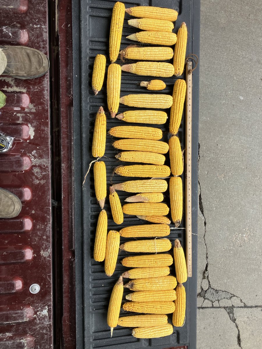 the good bad ugly from Grand Island to Neb City 20 stops 173 bu Avg 13 irrigated 7 dry land PFtour#24