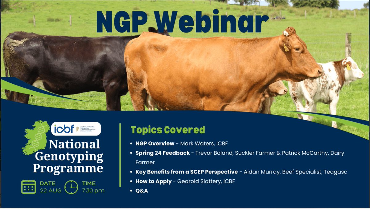 BunnaAgri's tweet photo. ICBF will host a webinar discussing the various aspects and requirements of the new National Genotyping Programme. The recorded webinar will take place on Thursday 22nd August at 7.30pm. @IFAmedia https://t.co/ZNf3L91YLi