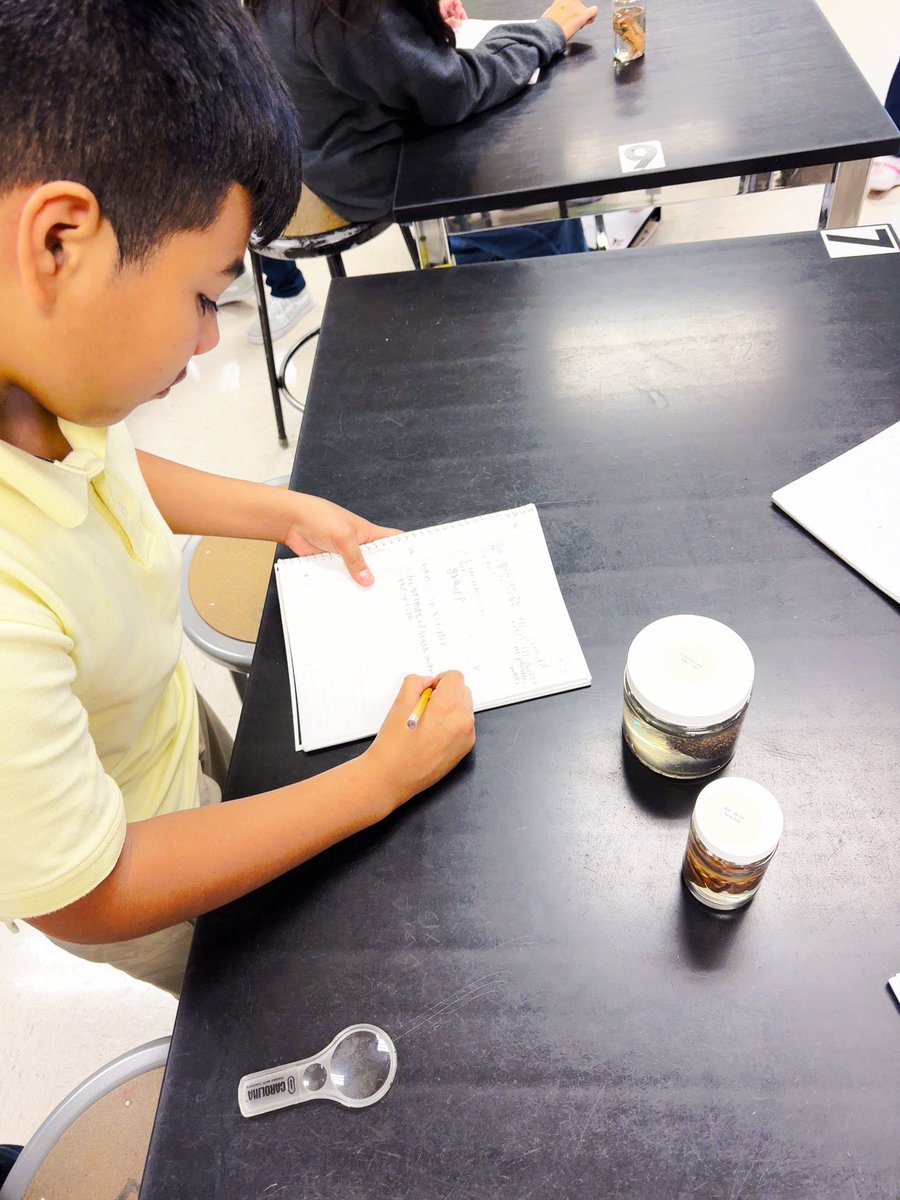 withpurpose1's tweet photo. EQ: How can you use scientific practices to answer a question about the natural world ?
#explore
#handsonactivity
#Observation
#Inference
@newby_ross96988 @HeyMrsCarterrrr @RaymondLowery11 @gelyn_roble @acstew876 @jacobskarend https://t.co/utevuaLmgP