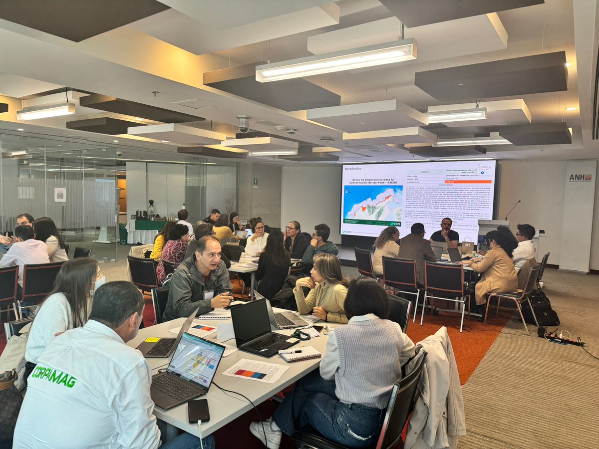 MinEnergiaCo's tweet photo. ¡Energía Eólica Costa Afuera en Colombia!

Hicimos parte de las mesas de trabajo donde revisamos y validamos 14 criterios de sensibilidad ambiental en el Caribe colombiano  para el despliegue de la energía eólica costa afuera en nuestro país 🇨🇴. 

⚡Este taller de articulación interinstitucional se llevó a cabo gracias a la cooperación técnica de nuestro Ministerio con @BancoMundial  y contó con la participación de mas de 10 entidades.