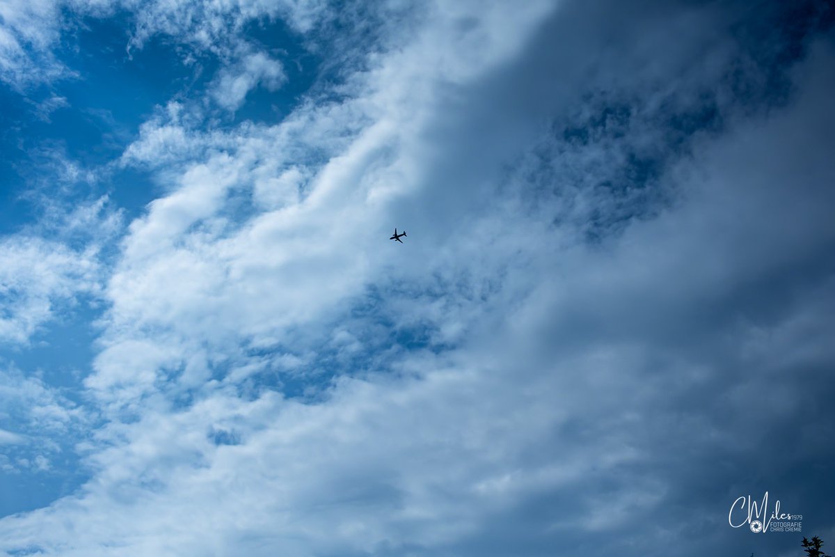 Chris Cremie tweet media