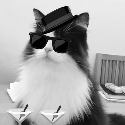 Ollie_BigPaws's tweet image. #NewProfilePic ready for hosting the #Nipfest2024 #CocktailMasterclass