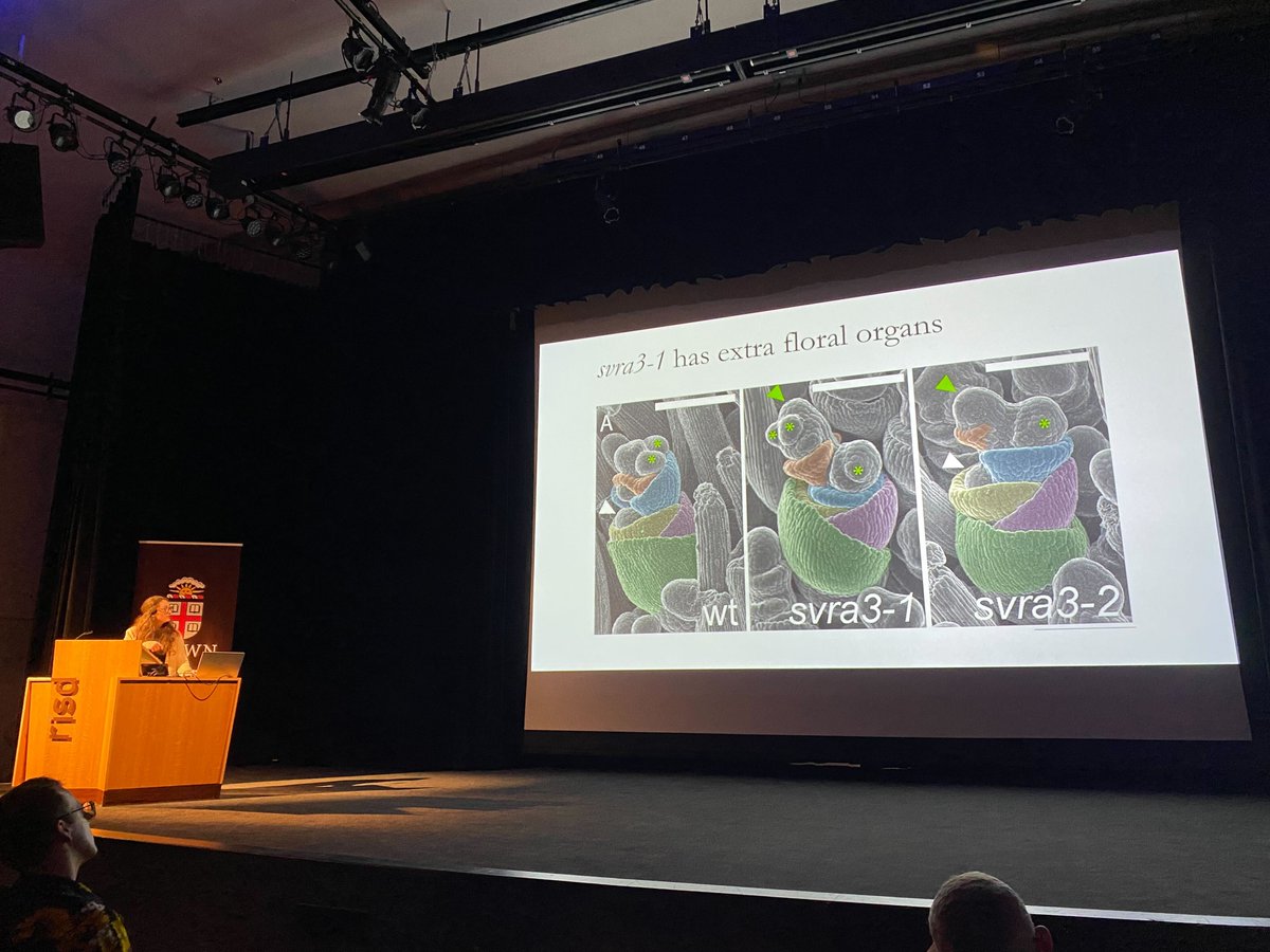 presenting my research at <a href="/iasprr/">IASPRR @iasprr.bsky.social</a> last month was a highlight of the summer... best part was my roommate <a href="/julian_somers3/">Julian Somers</a> who was making me laugh pretty much the whole time. Thanks for the great conference and the great memories!