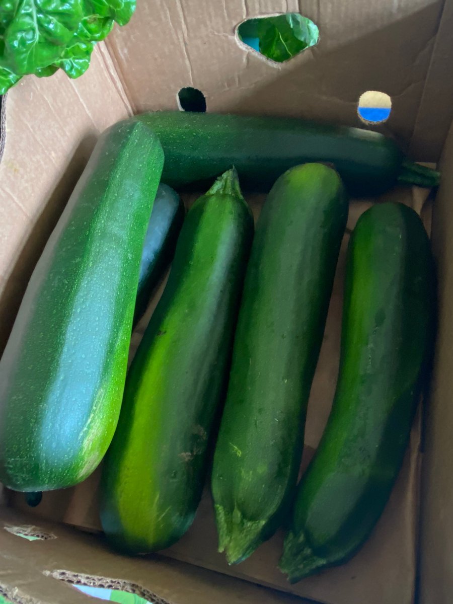 Burnside Gorge tweet media