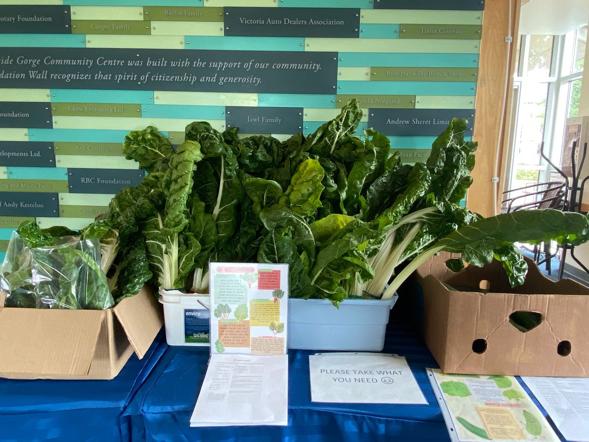 Burnside Gorge tweet media