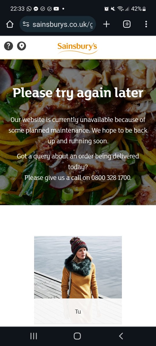 LifeOnSarz's tweet photo. @sainsburys halfway through my grocery order *for tomorrow* and I get this. App is also down. Please tell me how I order what I want when nothing works with 25 minutes to go? https://t.co/MgIgaDBw92