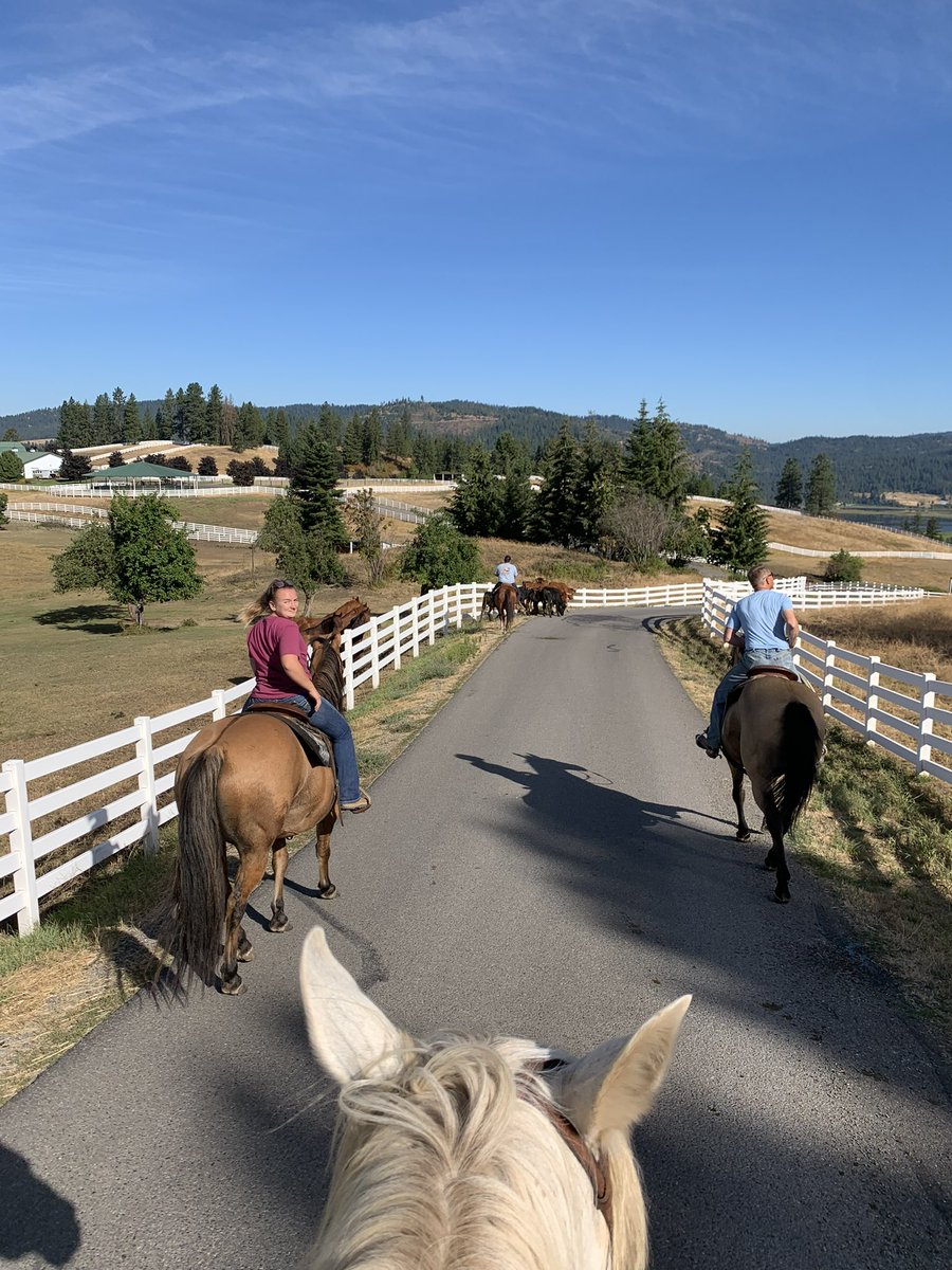 Just doing some horse stuff! <a href="/Blackrockhorses/">Black Rock Ranch</a>