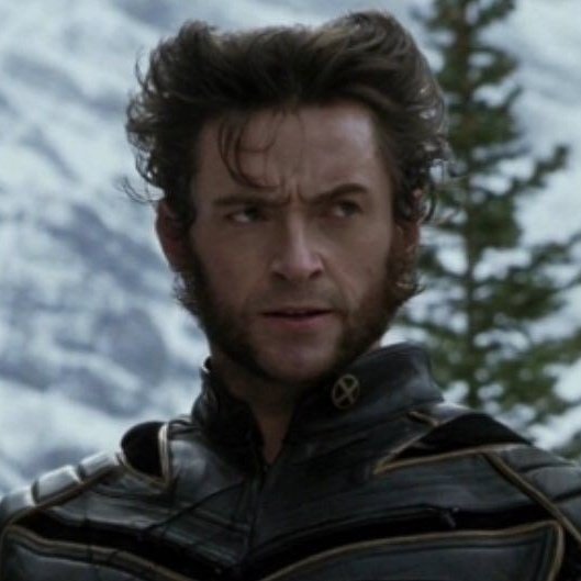 ㅤ
Меня зовут Логан, но вам может быть знакомо имя Росомаха. Живу по своим правилам, не боюсь сражений и защищаю тех, кто не может постоять за себя. Добро пожаловать в мир, где когти решают, кто прав.🐾
ㅤ