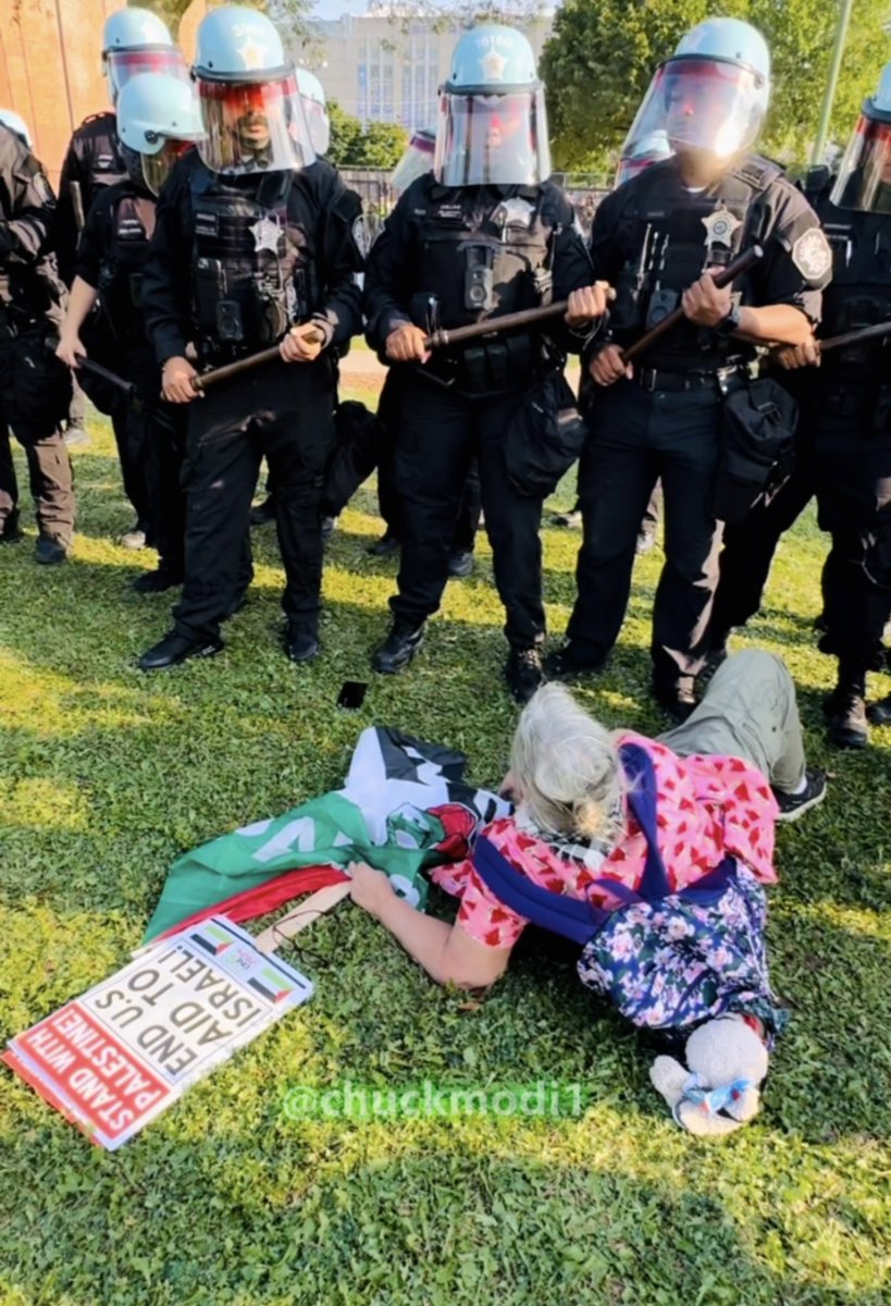 ChuckModi1's tweet photo. Nothing to see here. Just baton-wielding Chicago cops keeping the DNC safe by knocking elderly woman to the ground who was advocating for a #FreePalestine #DNC2024Chicago https://t.co/lMF4902OR9