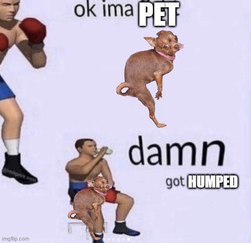 Humpy the Dog tweet media