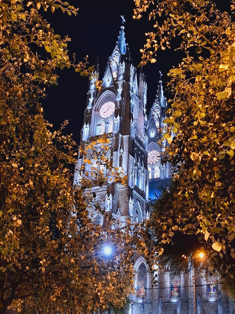 ferchinchin's tweet photo. ❝The CHURCH is not the ASSEMBLY of the PURE, but the HOSPITAL of SINNERS❞.
⭐ Gilbert Keith Chesterton
🌿 𝑃𝑜𝑝𝑢𝑙𝑢𝑠 𝑎𝑙𝑏𝑎 L. ➤ 𝚂𝙰𝙻𝙸𝙲𝙰𝙲𝙴𝙰𝙴.
#PopulusAlba #Church #Pure #Sinners https://t.co/AEDhr9xFWo