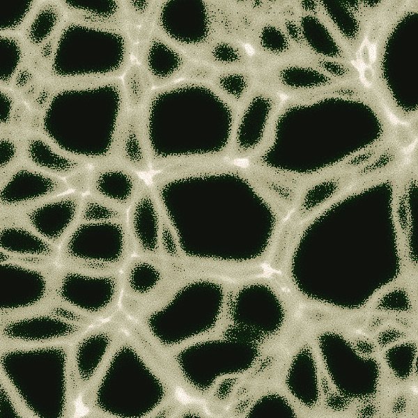 la ninfa hace acto de presencia.