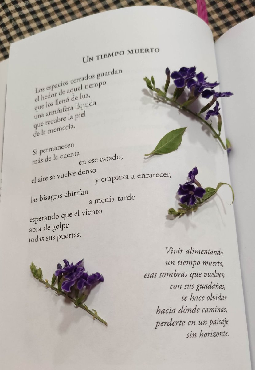 MRosamar64's tweet photo. Donde duerme la lluvia, editado por Olé Libros, 2024. 
"Un mar de sombras y olvido cubre la piel, el poso que en soledad devuelve a las orillas el canto de la luz... Eres la lluvia que guardan tus silencios, aunque lo ignores"
#poesia #libros #versos #literatura https://t.co/gkD49nFZiC