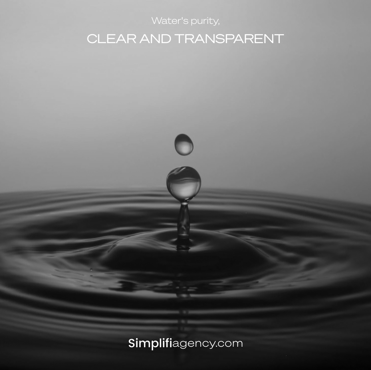 SimplifiAgency's tweet photo. Clear and transparent results—it's what we deliver. 📊 No hidden agendas, just real data driving your brand forward. #TransparentResults #DigitalMarketing #Simplifi #BrandGrowth #MarketingStrategy https://t.co/oYNMNdwCnh