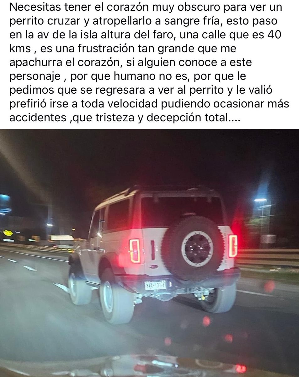 Vanita_deChubas's tweet image. Si alguien conoce a este desgraciado mándenle saludos 😤✊🏻y una buena FUNADA,  que asco que esto pase en el norte de Mérida donde se supone que abunda la “gente educada”

Chtm cada que respires Mario Humberto Dzul o quien estaba manejando tu carro 😭😤