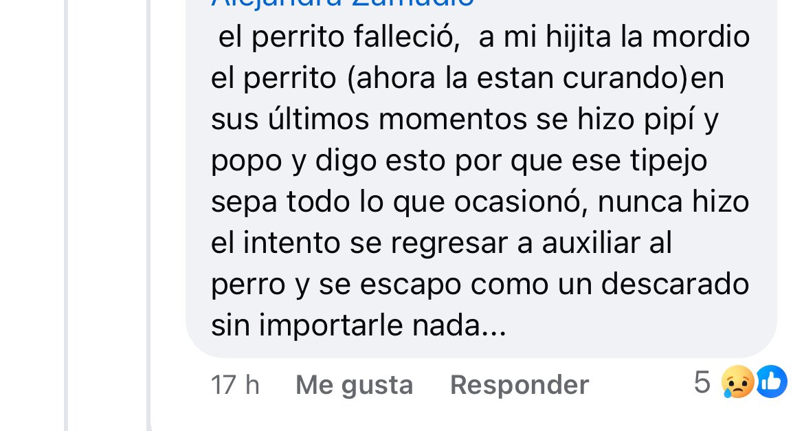 Vanita_deChubas's tweet image. Si alguien conoce a este desgraciado mándenle saludos 😤✊🏻y una buena FUNADA,  que asco que esto pase en el norte de Mérida donde se supone que abunda la “gente educada”

Chtm cada que respires Mario Humberto Dzul o quien estaba manejando tu carro 😭😤