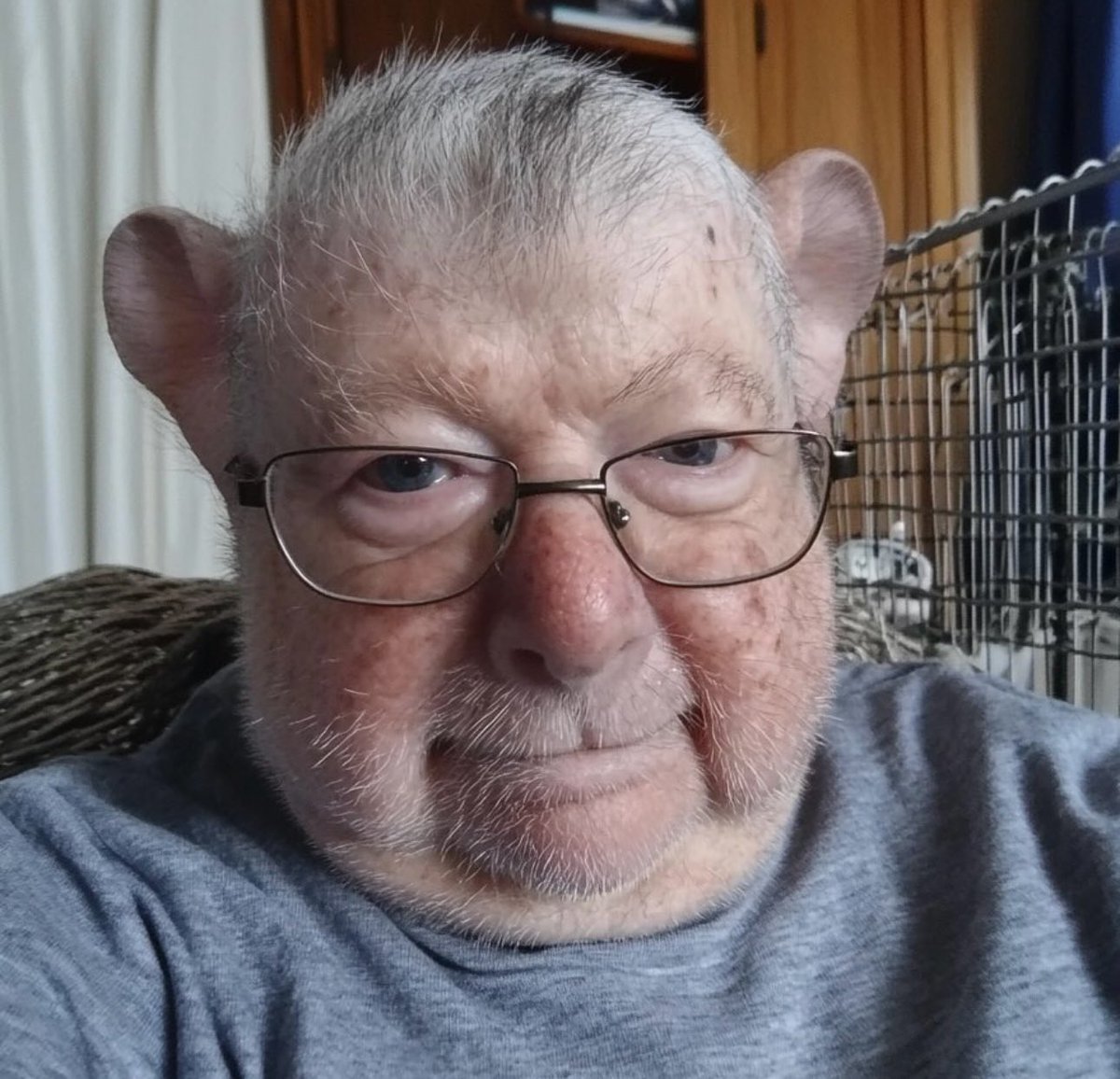 Parrobot7's tweet photo. Gerónimo Stilton, un ejemplo más de cómo las drogas te joden la vida https://t.co/uFxE58dPWr