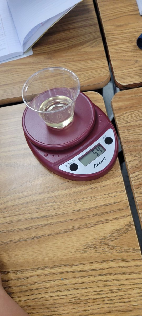 Students dive into the investigations testing the physical properties of matter such as mass and ability to sink/float using notebooks 📓 to record their data. #ScienceComeback2425