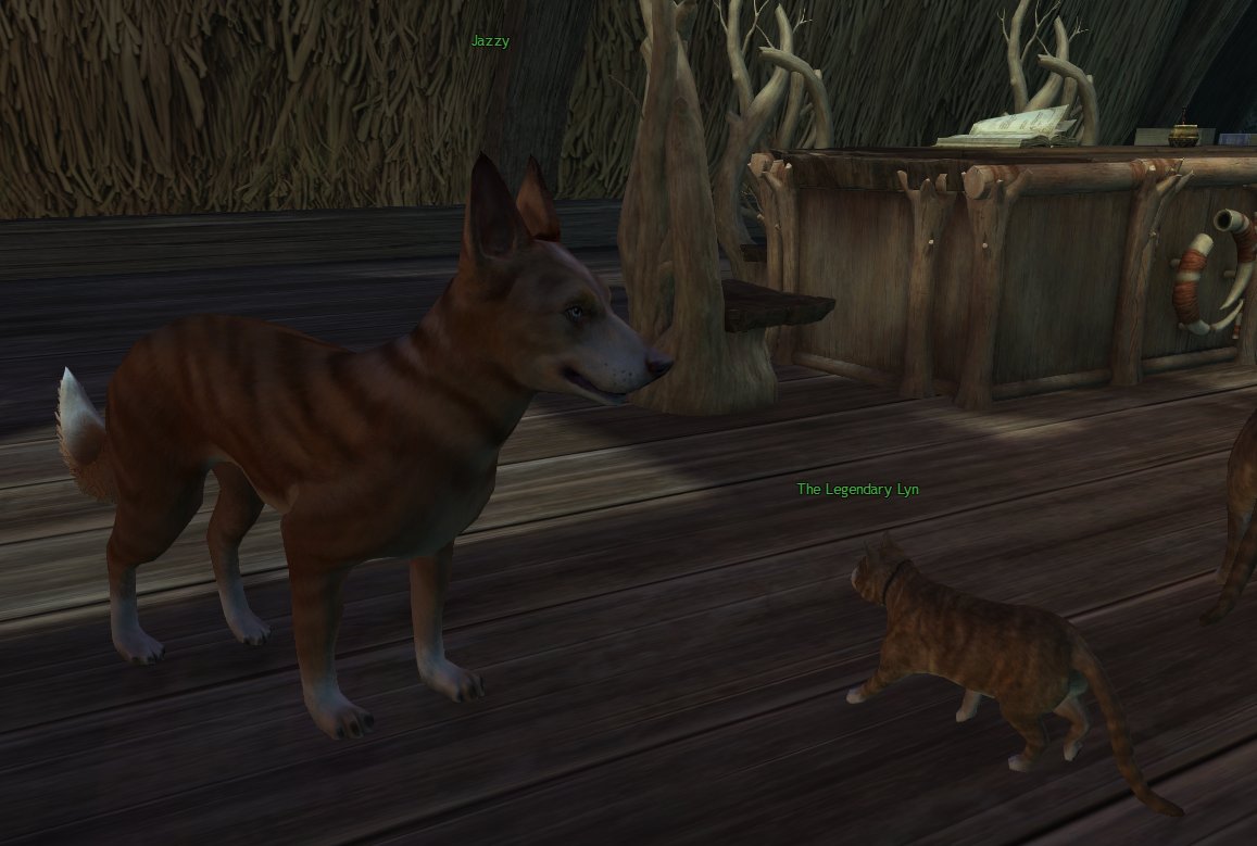 The Legendary Lyn tweet media