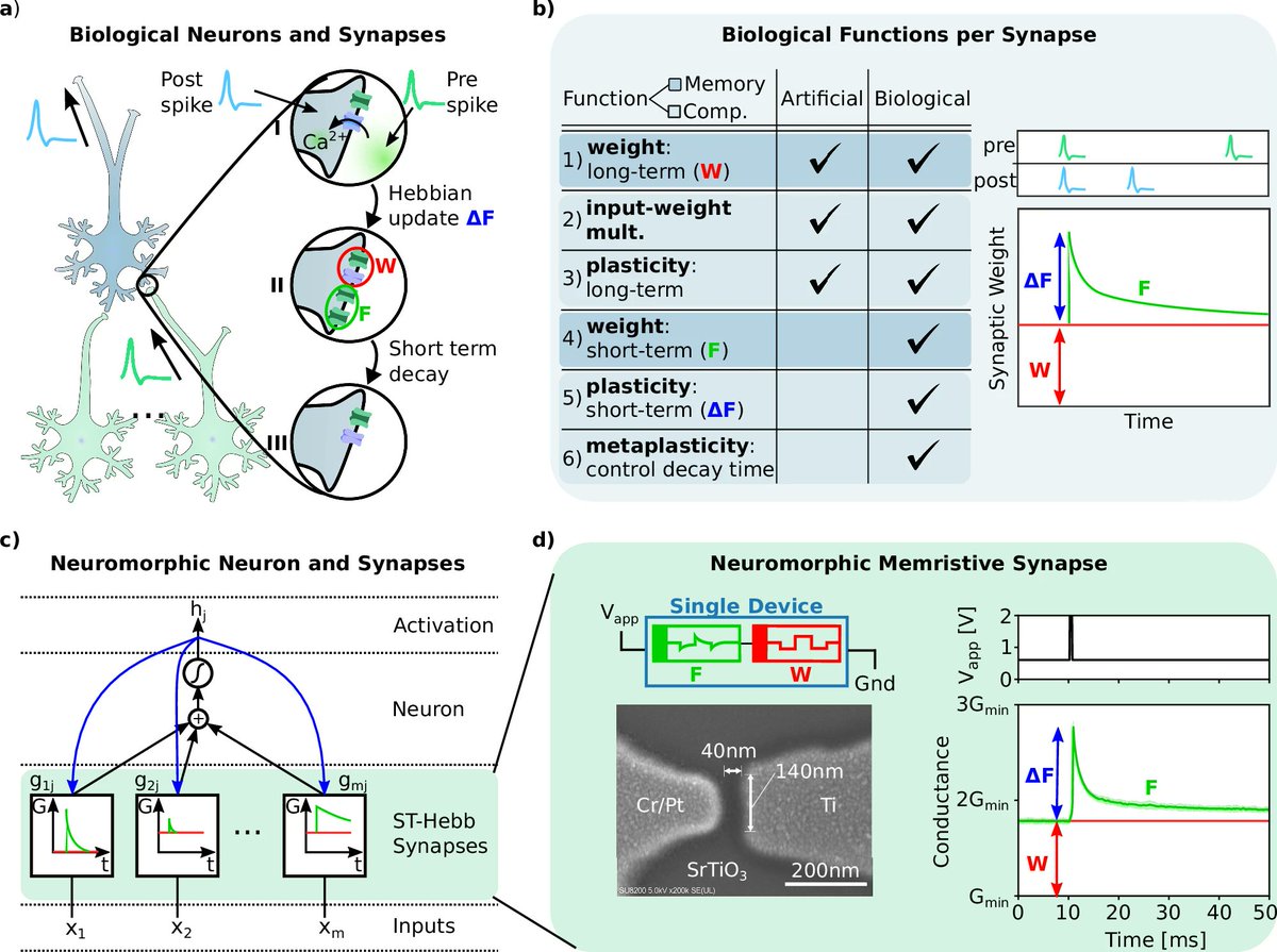Timoleon (Timos) Moraitis tweet media