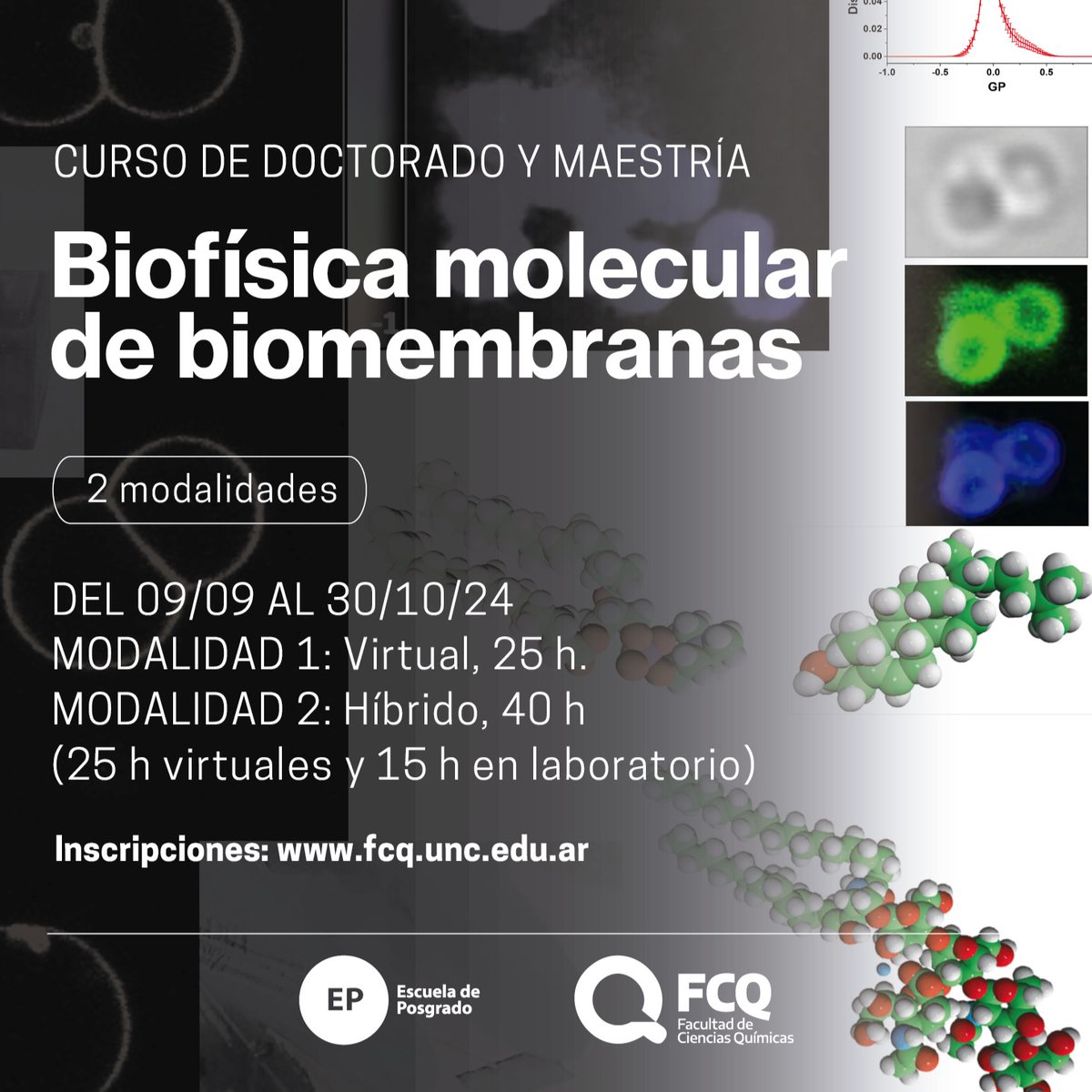 Laurivillasuso's tweet photo. 💡Les comparto invitación al curso: “BIOFÍSICA MOLECULAR DE BIOMEMBRANAS”, organizado por la FCQ-UNC. Directora: Dra. N Wilke. Coord. ML Fanani, R Olivera. Colab: V Galassi, AL Villasuso, E Ambroggio, G Montich. Conocé más e inscribite 👉 https://t.co/OB9dVZkkou https://t.co/GwgVtC2OOL