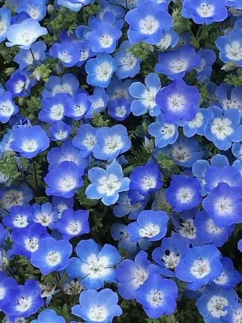 bee_293 tweet picture