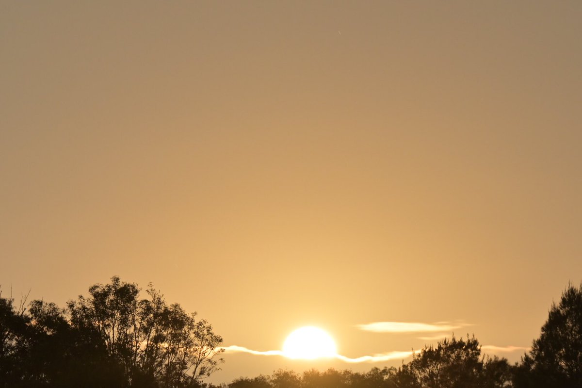 GeorgeSz12's tweet photo. Hi All,
Good Morning on this Foggy hump Wednesday
Some pictures from last night
1st two Sunset the last two Full Moon 🌕 rising
Location Priors Pocket
#sunset #fullmoonrising #fullmoon
#nikonz6ii #z6ii #mynikonlife
@olivia_brisbane @DiQld
@HarleyRozeBBW
@Bildagraham1 https://t.co/GojdkFc1Bk
