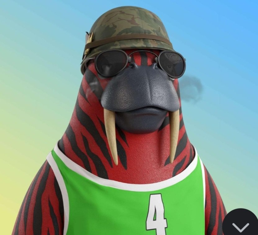 Meowzer ($LDZ) tweet media