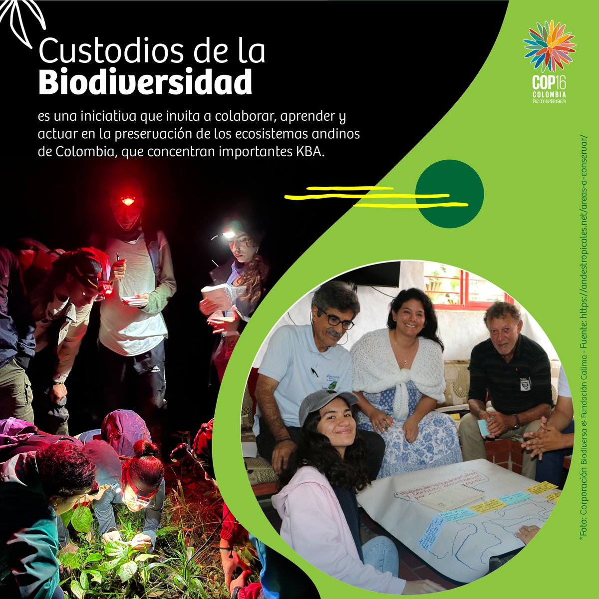 FuturoLatinoame's tweet photo. #Proyecto #CEPF | 🌿#CustodiosDeLaBiodiversidad

 💚‼️Descubre el corazón verde de Colombia‼️

🙌 Únete a nosotrxs en la conservación de la biodiversidad andina 🌳 

🌎 Conoce las áreas clave y actúa por un futuro sostenible 🌱 https://t.co/kH7bYHGzXC