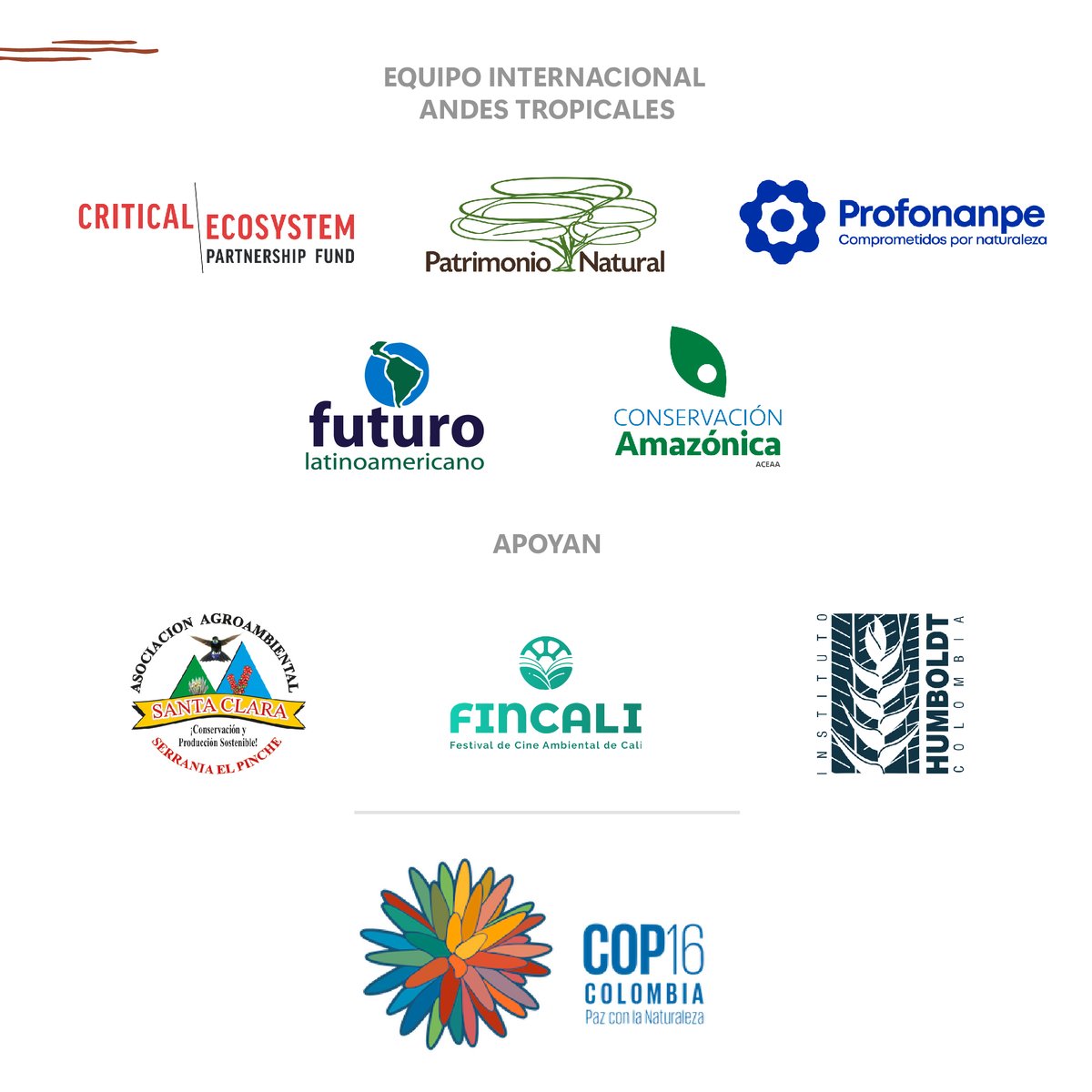 FuturoLatinoame's tweet photo. #Proyecto #CEPF | 🌿#CustodiosDeLaBiodiversidad

 💚‼️Descubre el corazón verde de Colombia‼️

🙌 Únete a nosotrxs en la conservación de la biodiversidad andina 🌳 

🌎 Conoce las áreas clave y actúa por un futuro sostenible 🌱 https://t.co/kH7bYHGzXC