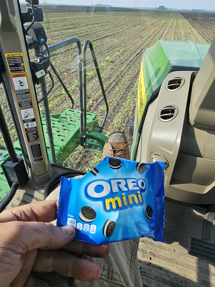 Mini oreos don't really get alot of praise that they deserve...when you eat 4 or 5 of them at once, there awesome!