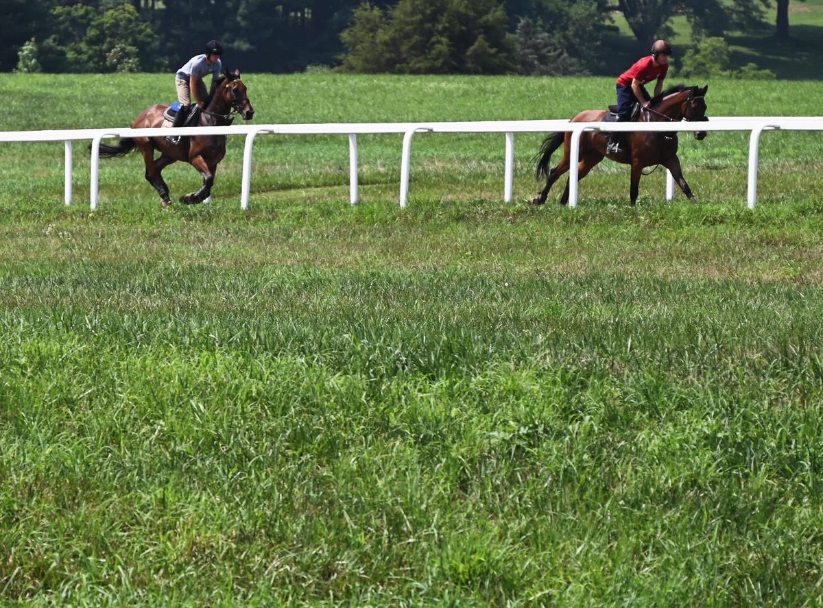 Ashwell Stable, LLC tweet media