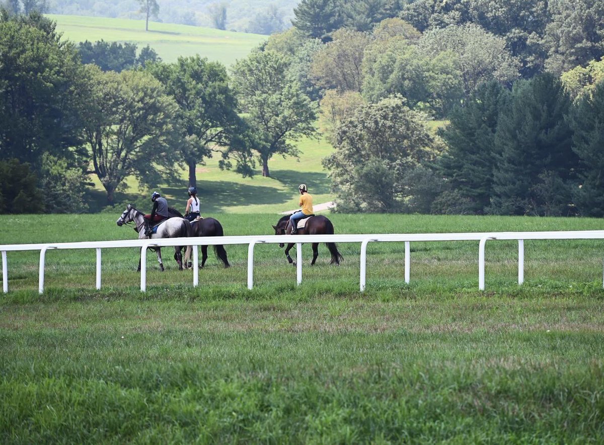 Ashwell Stable, LLC tweet media