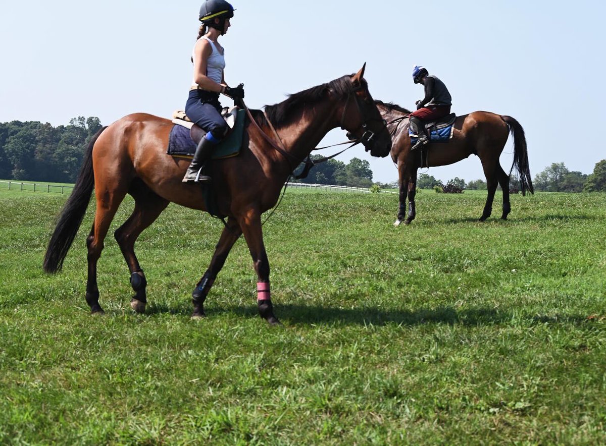 Ashwell Stable, LLC (@ashwellstable) on Twitter photo 🤩Another Day in the Life🤩
#horseracing #horseraces #racehorses #racehorselife #horsesgalloping #horseriders <a href="/TheJockeyClub/">The Jockey Club</a> <a href="/AtTheRaces/">At The Races</a> <a href="/ThoroughbredDa3/">Thoroughbred Daily News</a> <a href="/ABRLive/">America'sBestRacing</a> <a href="/WHR/">World Horse Racing</a> <a href="/RacingPost/">Racing Post</a> <a href="/RacingTV/">Racing TV</a> <a href="/itvracing/">ITV Racing</a> <a href="/rpbloodstock/">Racing Post Bloodstock</a> <a href="/JumpingwithNSA/">NSA</a> <a href="/LeslieYoung1/">Leslie Falini Young</a> <a href="/USASteeplechase/">Steve Coxon Racing 🏇</a> 🤩Another Day in the Life🤩
#horseracing #horseraces #racehorses #racehorselife #horsesgalloping #horseriders <a href="/TheJockeyClub/">The Jockey Club</a> <a href="/AtTheRaces/">At The Races</a> <a href="/ThoroughbredDa3/">Thoroughbred Daily News</a> <a href="/ABRLive/">America'sBestRacing</a> <a href="/WHR/">World Horse Racing</a> <a href="/RacingPost/">Racing Post</a> <a href="/RacingTV/">Racing TV</a> <a href="/itvracing/">ITV Racing</a> <a href="/rpbloodstock/">Racing Post Bloodstock</a> <a href="/JumpingwithNSA/">NSA</a> <a href="/LeslieYoung1/">Leslie Falini Young</a> <a href="/USASteeplechase/">Steve Coxon Racing 🏇</a>