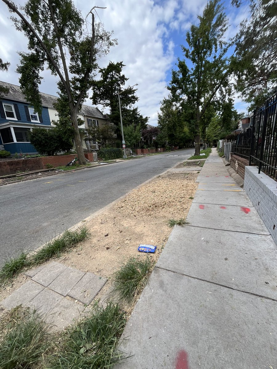 LaylaBonnot's tweet photo. Sad to see this tree taken down today but hopeful for a healthy new one to get planted soon! @DCDPW https://t.co/R5BznO9Rvw