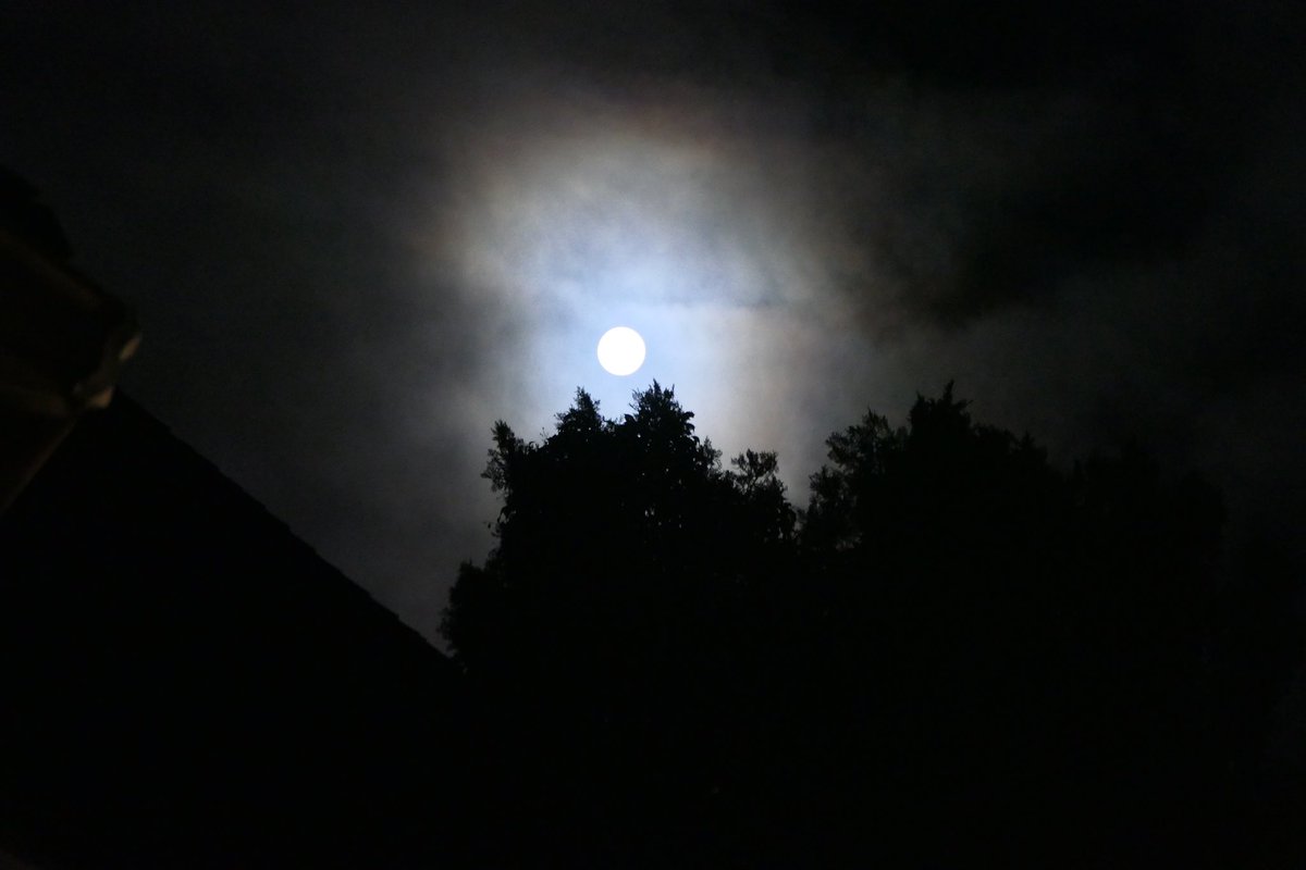 RelaxWithLuLu's tweet photo. The beautiful Super βBlueβ Full Moon. π It was majesti.π€
#relaxwithlulu #love #beautiful #blog #blogger #blessed #moon #fullmoon #moonlovers #nightsky #moonphases #followme #moongazing #fullmoonnight #moonlight #moonshine #moonrise #fullbluemoon #bluemoon #superbluemoon https://t.co/AOmDOC555U