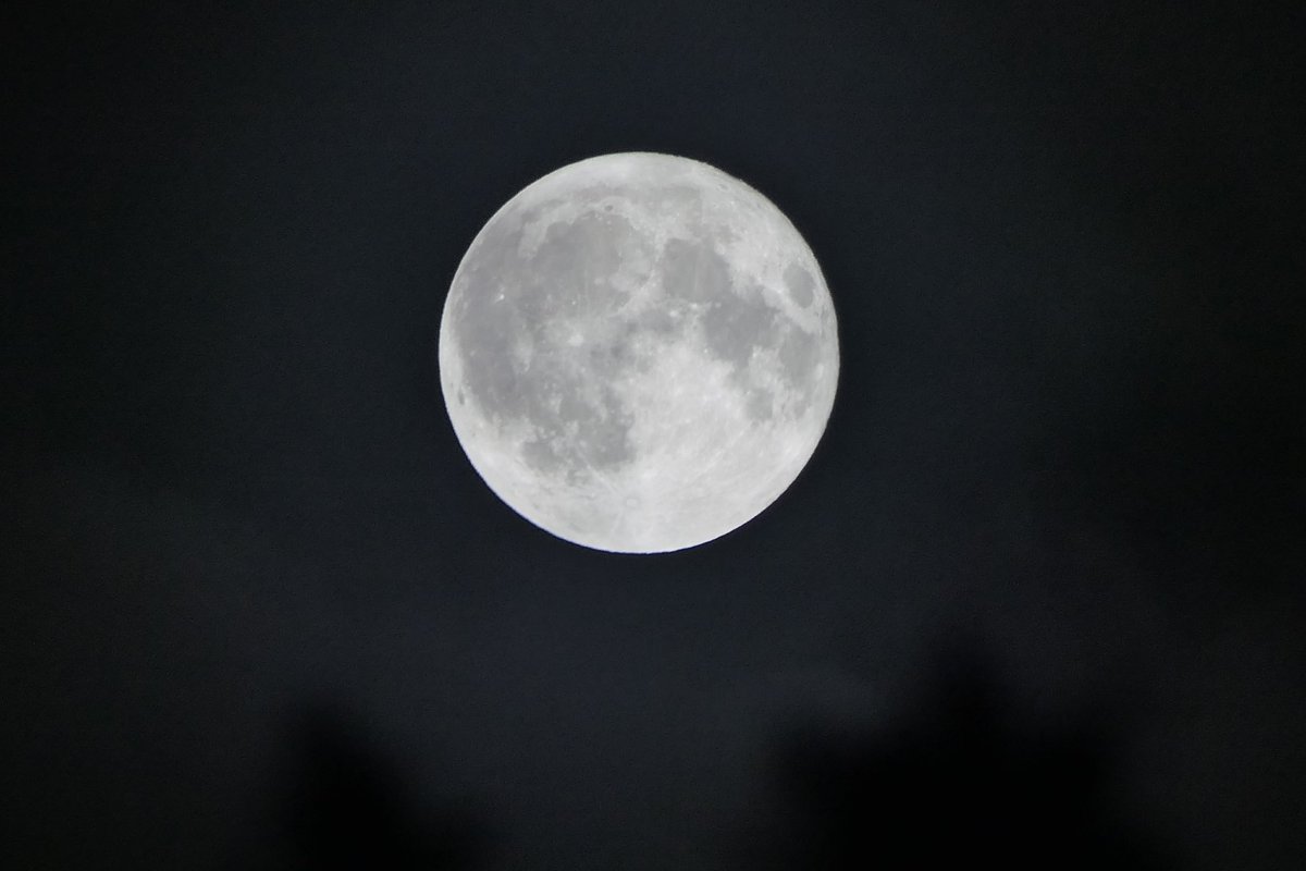 RelaxWithLuLu's tweet photo. The beautiful Super βBlueβ Full Moon. π It was majesti.π€
#relaxwithlulu #love #beautiful #blog #blogger #blessed #moon #fullmoon #moonlovers #nightsky #moonphases #followme #moongazing #fullmoonnight #moonlight #moonshine #moonrise #fullbluemoon #bluemoon #superbluemoon https://t.co/AOmDOC555U