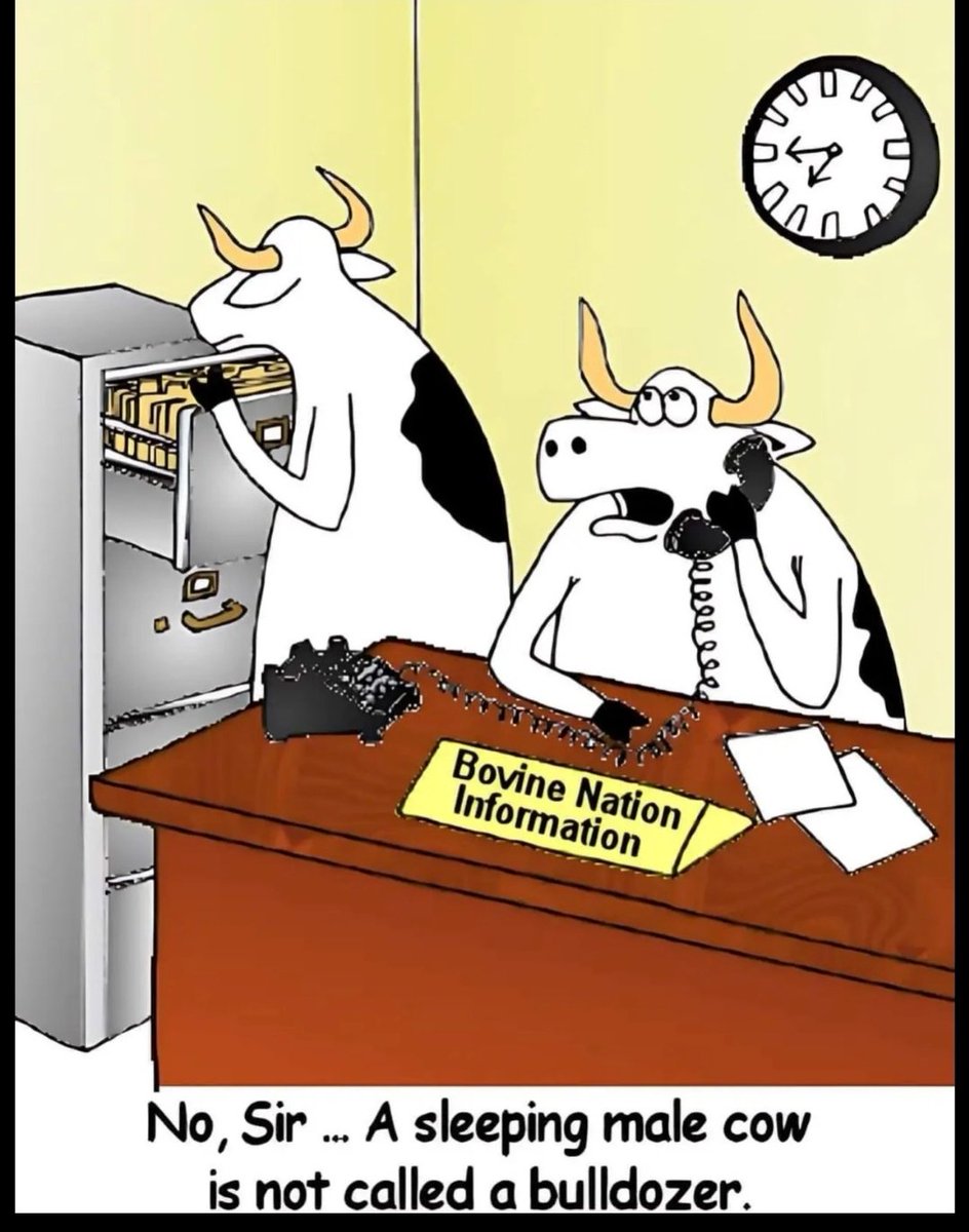 Bumblebee152272's tweet image. 