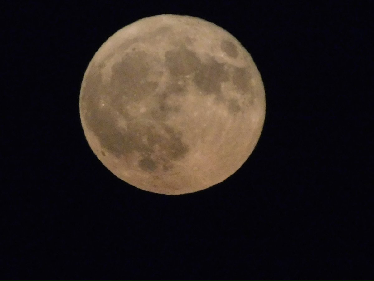 Emma Lashley tweet media