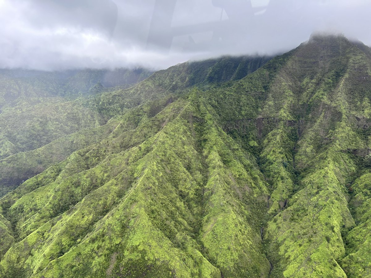 Munzinger_Ing's tweet photo. Reise meines Lebens. Nach 30 Jahren eine Auszeit auf den Hawaiianischen Inseln. Don‘t miss Germany! Habt eine gute Zeit! https://t.co/N9eT2XPAMV
