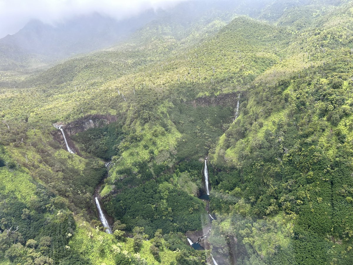 Munzinger_Ing's tweet photo. Reise meines Lebens. Nach 30 Jahren eine Auszeit auf den Hawaiianischen Inseln. Don‘t miss Germany! Habt eine gute Zeit! https://t.co/N9eT2XPAMV