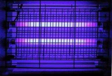 Rooijborstje's tweet image. Is hier al een app voor? Dat de muggen op je smartphone afkomen en onmiddelijk geëlektrocuteerd worden. #mug #bugkiller #insectkiller #mosquito #bluelight